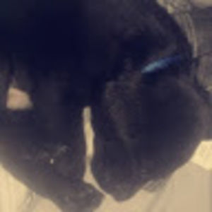 Meet your Posher, Logan